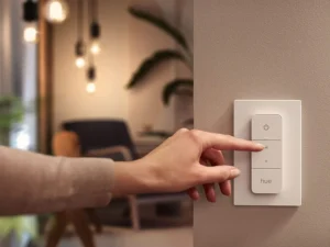 philips hue smart switch