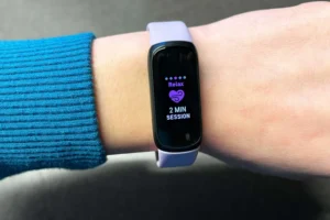 fitbit inspire 3 tracking