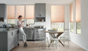 motorized kitchen blinds and shades